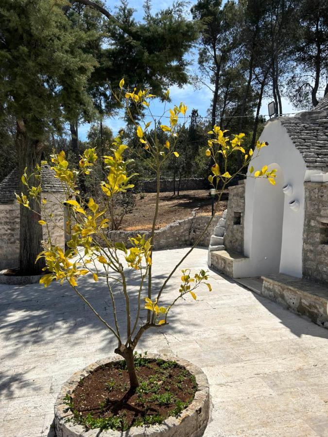 Bed and Breakfast Il Trullo Di Simona Локоротондо Экстерьер фото