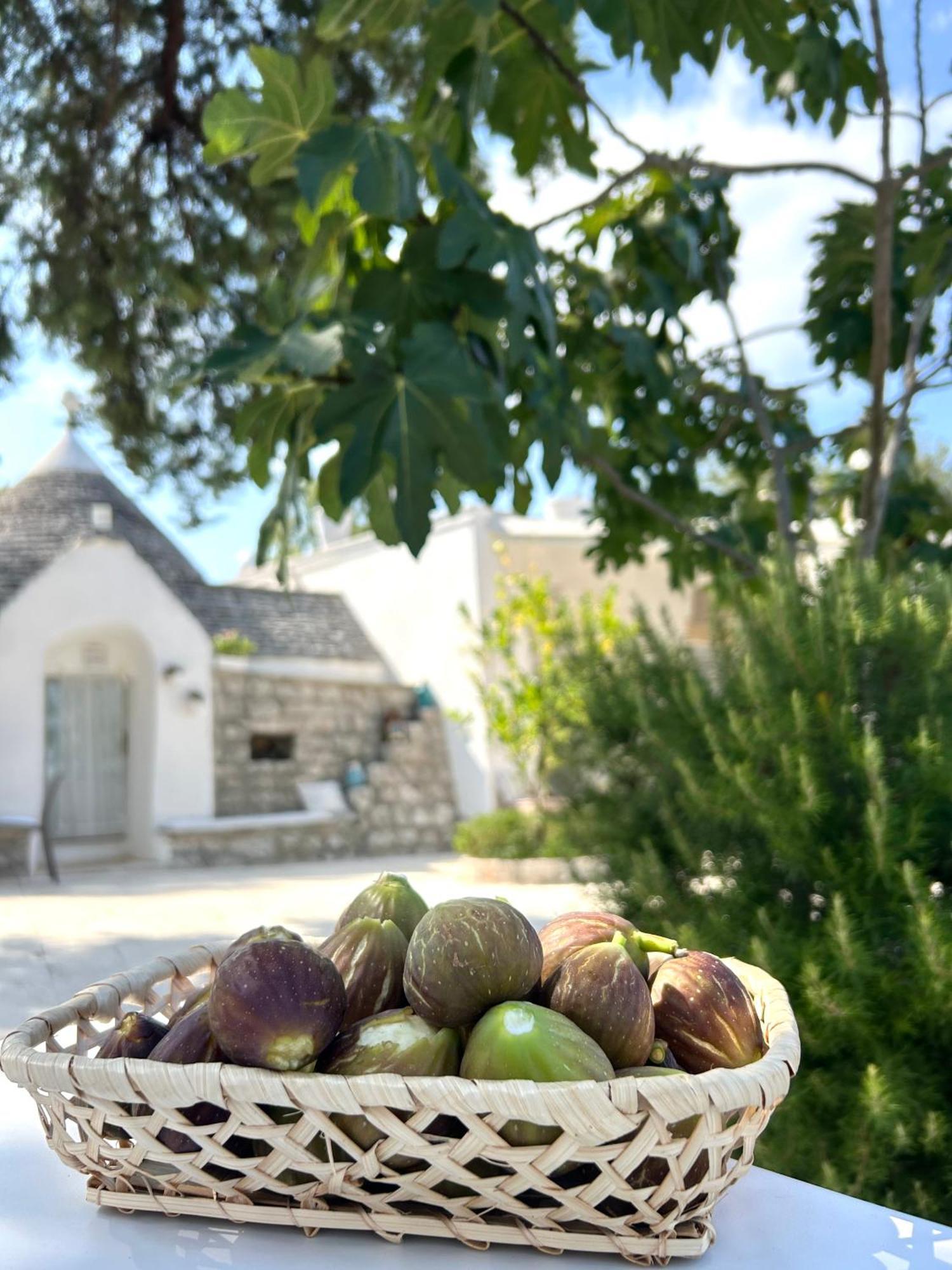 Bed and Breakfast Il Trullo Di Simona Локоротондо Экстерьер фото